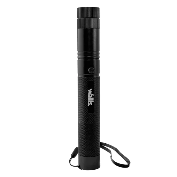 Wallis | Apuntador Láser con batería recargable - C-H340315